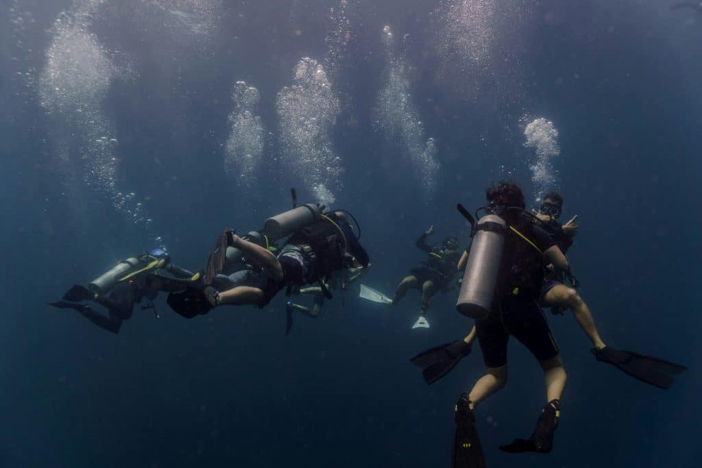 Divers exploring vibrant marine life underwater