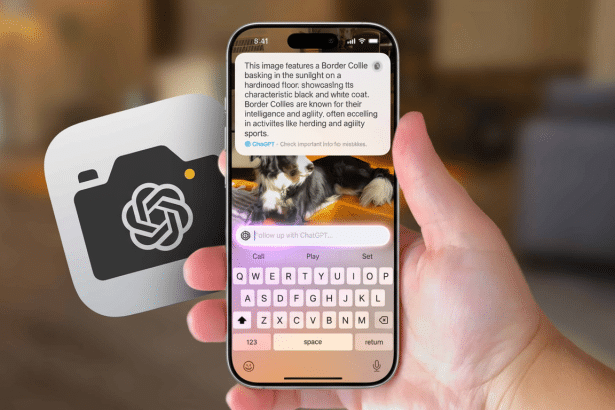 A hand holds a smartphone displaying a ChatGPT conversation about a Border Collie, with a camera app icon overlaid on the left.