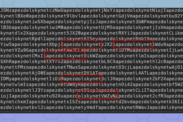 alt text: A screen displaying a block of text, with several segments highlighted by red rectangula