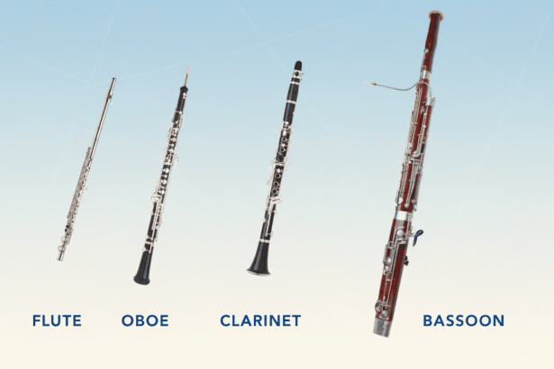 Four woodwind instruments ( flute, ob oe, clarinet, bassoon) are arranged horizontally on a professional blue gradient background with soft geometric