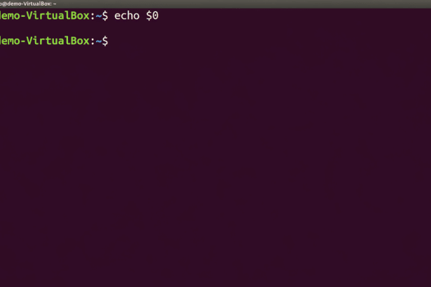 Bash Terminal Displaying echo $0 command
