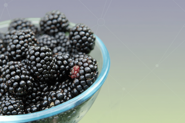 Image for BlackBerry Reboot: Would You Buy One If It Returned?