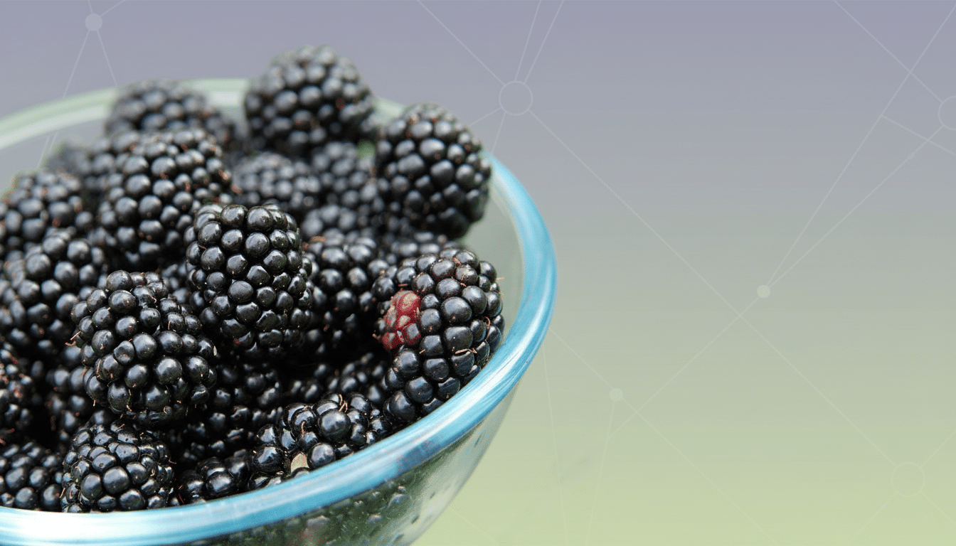 Image for BlackBerry Reboot: Would You Buy One If It Returned?