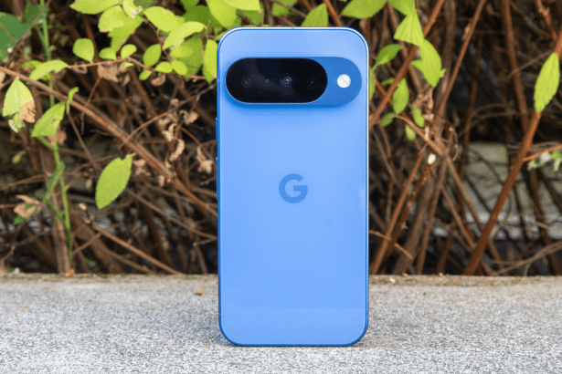 A blue Google Pixel smartphone is shown vertically on a concrete surface with green foliage and intertwined branches in the background , adhering to a 1 6:9 aspect ratio. Filename : bluegoogle pixel1 69 enhanced .png