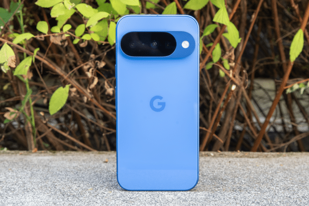 A blue Google Pixel smartphone displayed vertically on a concrete surface with a natural green and brown leafy background. Filename : bluegoogle pixelsmartphone .png