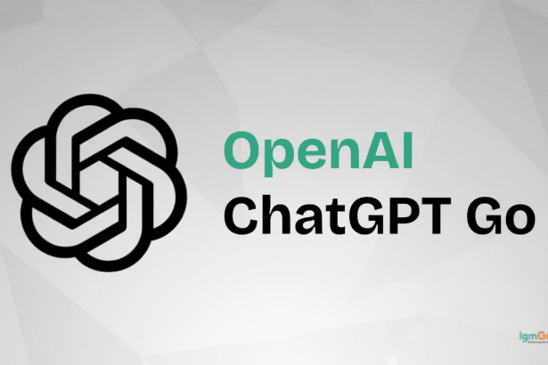 The OpenAI logo next to the text Open AI ChatGPT Go on a subtle geometric pattern background. Filename : openaichat gptgo logo. png