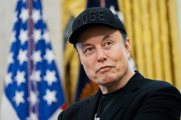 Elon Musk wearing a D OGE hat , looking to the side with a slightly concerned expression, with an American flag and golden curtains in the blurred background. Filename : elon muskdog ehat white house.png