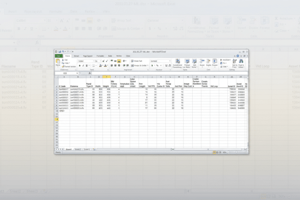Screenshot of an Excel spreadsheet with data in a table, displaying various columns like Filename, Width, Height, and Asset ID.
