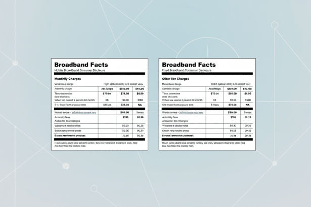 Comparison of two Broadband Facts documents side -by-side , detailing mobile and fixed broadband consumer disclosures .