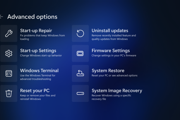 Windows 11 Recovery Environment menu with patch fixes to recovery and boot options