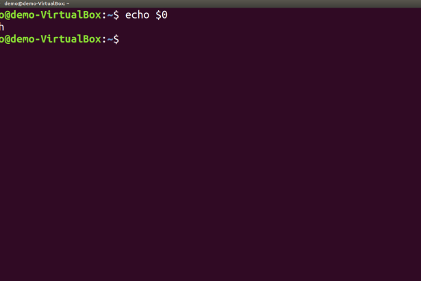 Linux command line showing shell commands and system processes