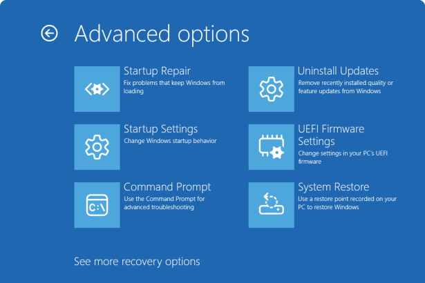 Windows Recovery Environment screen highlighting keyboard input issue