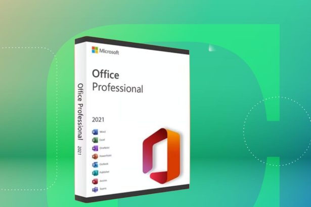 Q4 project timeline and budget chart with one-time software license key