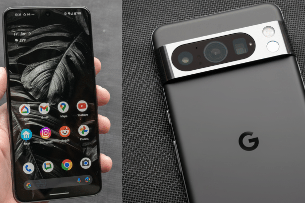 A split image showing a hand holding a black smartphone with a dark leaf wallpaper and app icons on the left, and the back of a dark gray Google Pixel