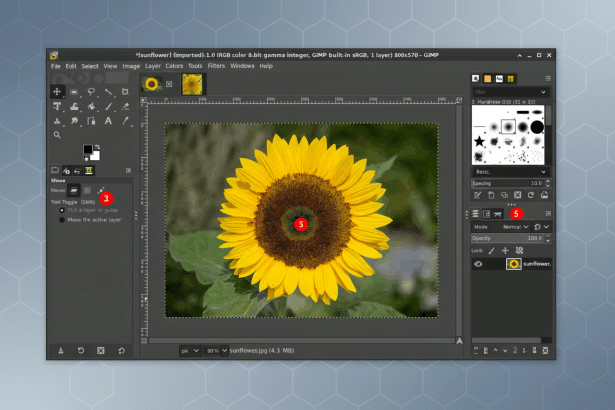 A screenshot of GIMP software editing an image of a sunflower, now with a modern professional background with soft grey geometric patterns, and the su
