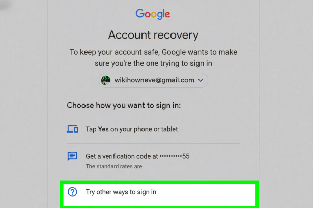 Google account recovery screen with options to sign in, including Try other ways to sign in highlighted. Filename : googleaccount recovery. png