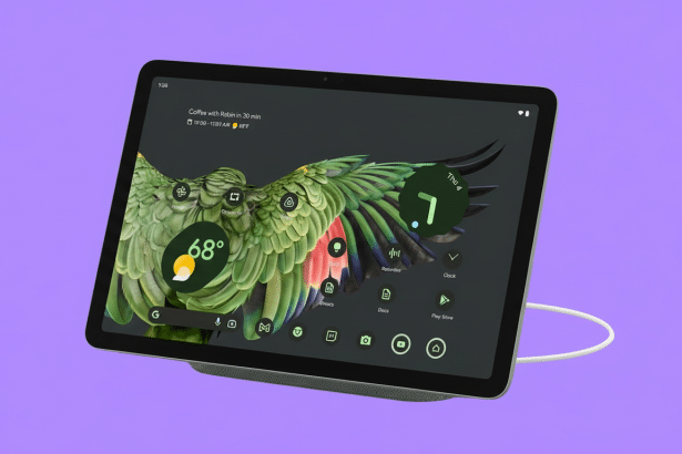 A Google Pixel Tablet in landscape mode, displaying a green bird wallpaper and various app icons, shown on a stand with a charging cable, against a so