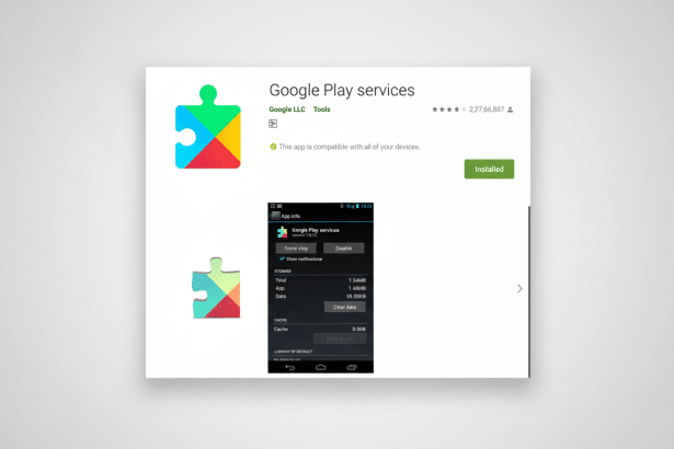 A professional, enhanced image of the Google Play services app page, resized to a 1 6: 9 aspect ratio, featuring the colorful puzzle piece icon and ap