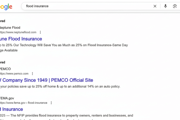 Screenshot of Google search results for flood insurance, showing sponsored ads from Neptune Flood and PEMCO, followed by an organic result from FEMA.gov .