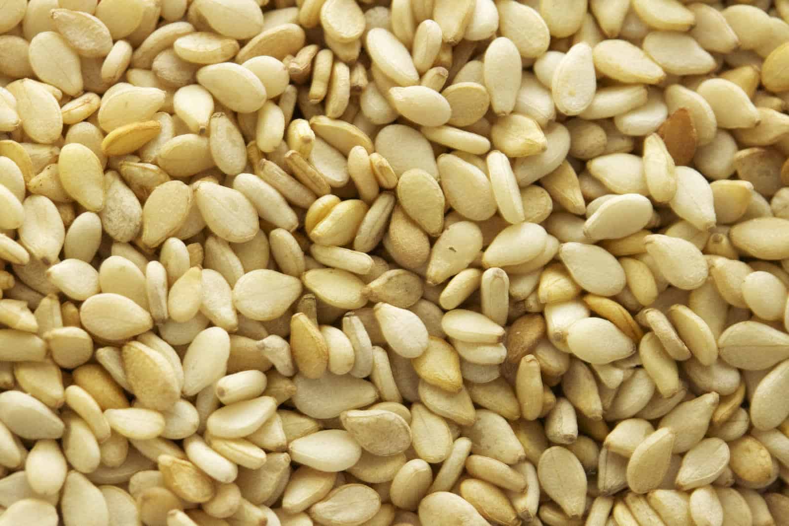 Sesame project in development, key builders and why it matters