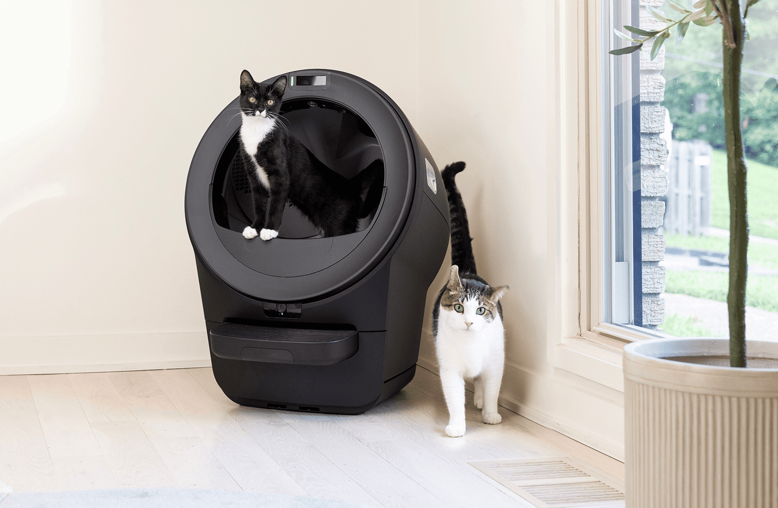 Litter-Robot 5 automatic self-cleaning cat litter box with smarter design upgrades