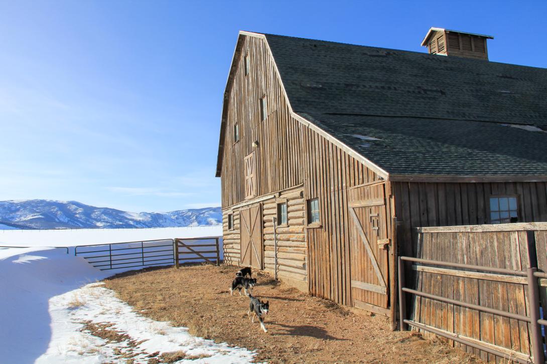 What Kuiper Cabin adds: upgraded seating, ambient lighting, and onboard connectivity
