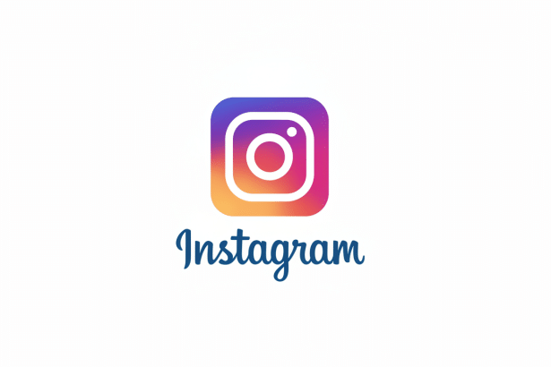 Instagram icon and text on a white background. Filename: instagram logo 1 69. png