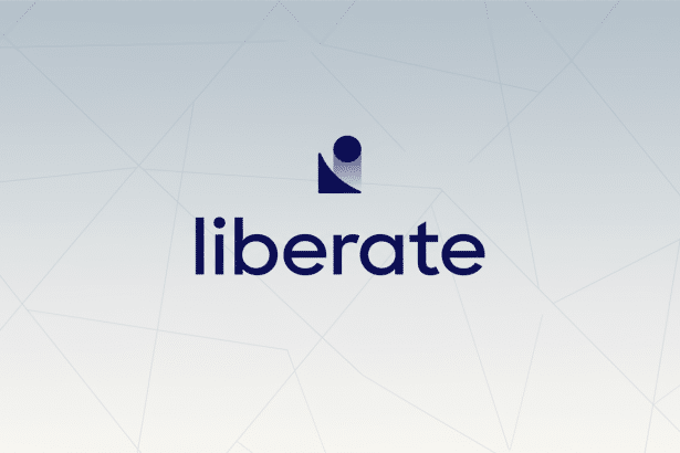The Liber ate logo is centered on a light gray background with subtle geometric patterns. The logo features a dark blue abstract icon above the word lib erate in a matching dark blue, sans-serif font . The icon appears to be a stylized i or a person figure, with a solid circle for the head and two curved shapes forming the body.