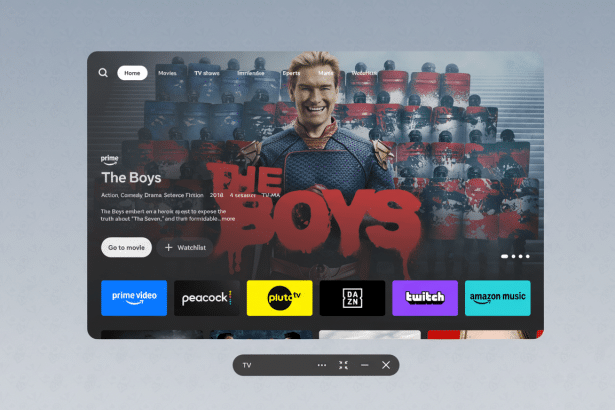 A professional screen capture of a TV streaming interface displaying The Boys show details , with the background replaced by a subtle gray pattern.