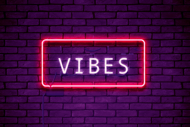Neon sign displaying VIBES in white letters with a red border against a purple brick wall.