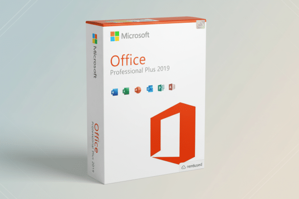 Microsoft Office Professional Plus 2 019 software box in a 16:9 aspect ratio with a subtle gradient