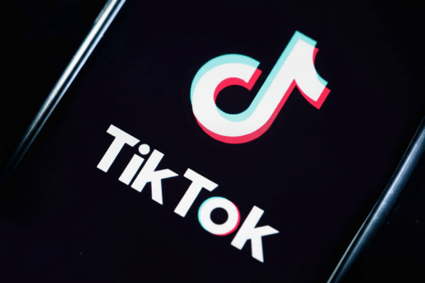 The TikTok logo displayed on a smartphone screen.