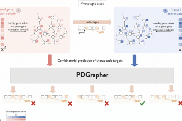 A scientific diagram illustrating the PD Grapher workflow, showing a phenotypic assay leading to combinatorial prediction of therapeutic targets. It c