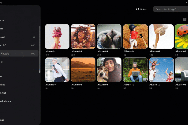 Screenshot of the Samsung Gallery application interface with various albums displayed, including Vacation selected in the sidebar .