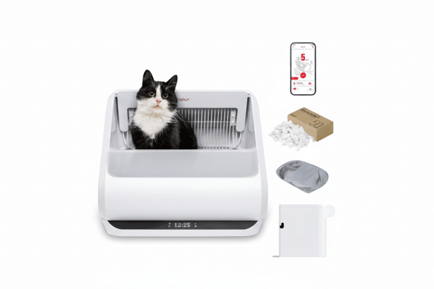 A black and white cat sits in a white smart litter box, with a smartphone displaying an app, a box of waste bags, loose waste material , a grey liner , and a small white waste bin arranged around it on a white background.
