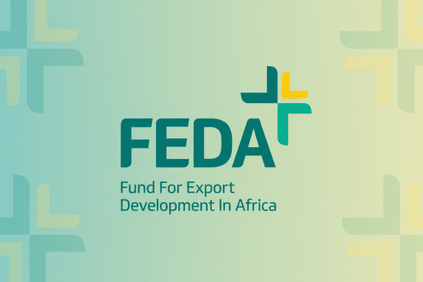 The F EDA logo, which stands for Fund For Export Development In Africa , is presented on a soft gradient background transitioning from a light teal to a pale yellow. The logo itself consists of the bold , teal word F EDA with a stylized plus sign to its right. The plus sign is composed of four L -shaped segments in shades of teal, green , and yellow, resembling a compass or a cross . Below the main logo, the full name Fund For Export Development In Africa is written in a smaller, sans -serif font, also in teal. The background also features a subtle, repeating pattern of the stylized plus sign, faded into the gradient .