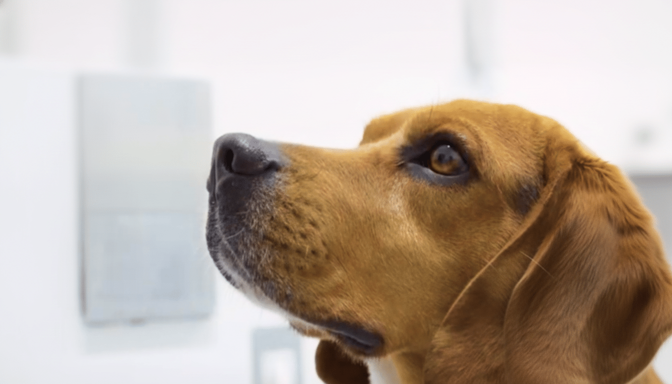 Canine-AI system with sensor-equipped dog linked to early detection dashboard