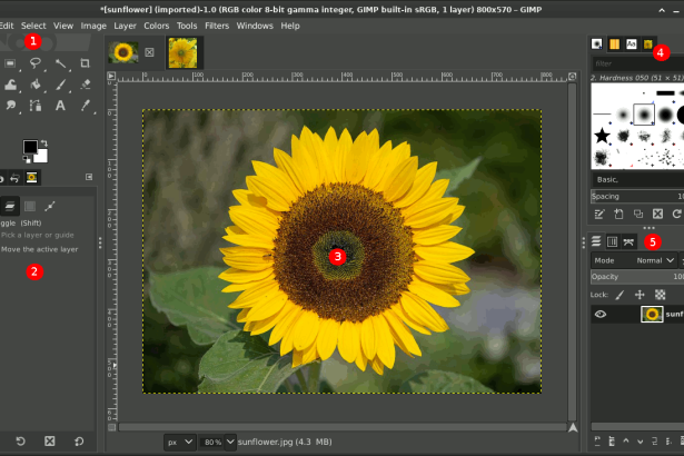 Image for Getting Started with GIMP: 10 Things for Beginners