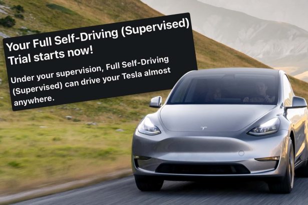 Image for Tesla Seeks New Trial in 3M Autopilot Verdict