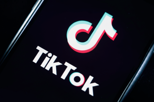 The TikTok logo is displayed prominently on a smartphone screen, featuring its distinctive white music note icon with red and blue accents against a black background.