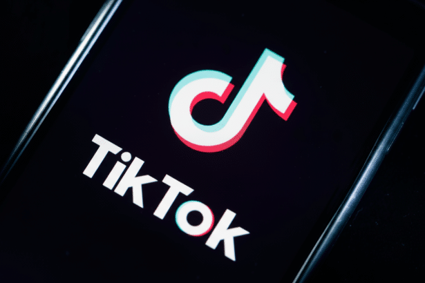 lt Text : The TikTok logo displayed on a smartphone screen, resized to a 1 6:9 aspect ratio and prof