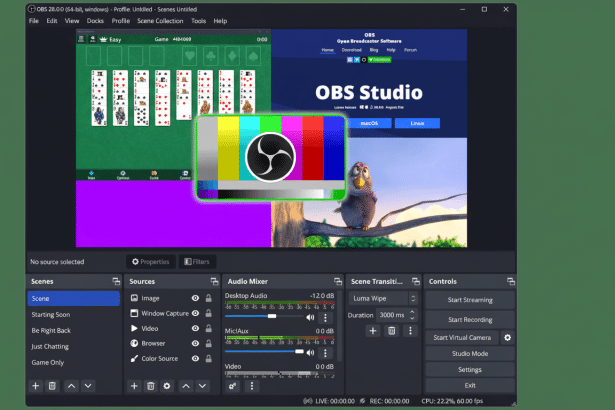 OBS Studio interface displaying a solitaire game, a browser window for OBS Studio, a color bars test pattern with the OBS logo, and a bird character from a game or animation, all within a 16:9 aspect ratio.