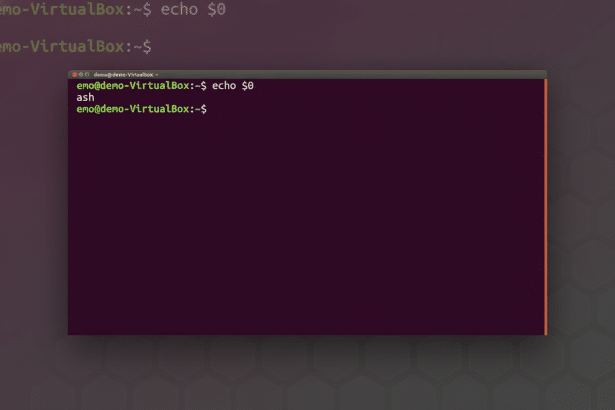 A resized and professionally enhanced screenshot of a Ubuntu terminal window displaying the output of echo $0 as bash.