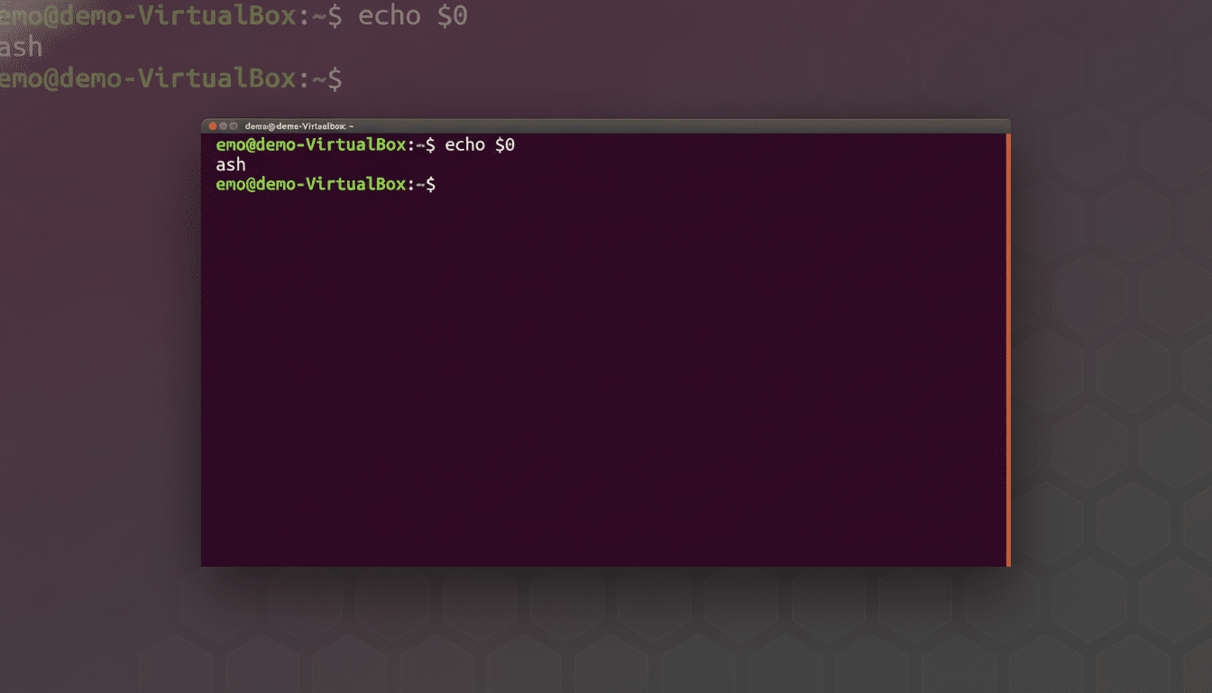 A resized and professionally enhanced screenshot of a Ubuntu terminal window displaying the output of echo $0 as bash.