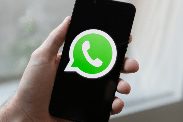 text : A hand holds a smartphone displaying the WhatsApp logo on its screen. Filename : whatsapplog