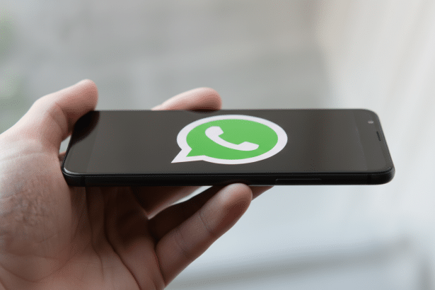 WhatsApp logo displayed on a smartphone held by a hand. Filename: whatsapp logoon smartphone.png