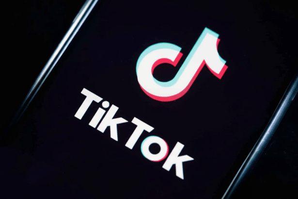 Image for White House explains framework to spin out TikTok