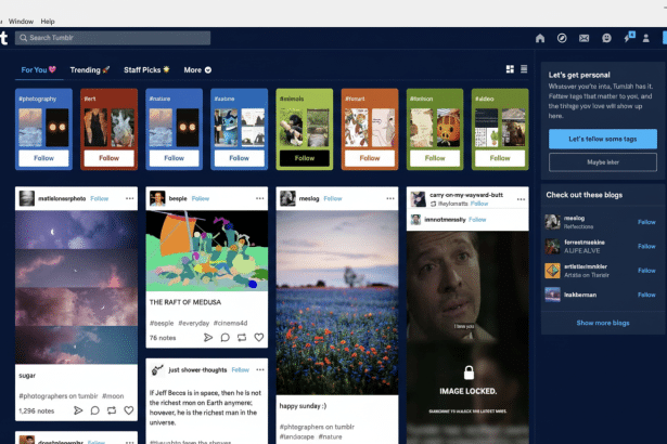 A screenshot of the Tumblr dashboard displaying various posts and content tags , resized to a 1 6:9 aspect ratio. Filename : tumblr dashboard16 9. png