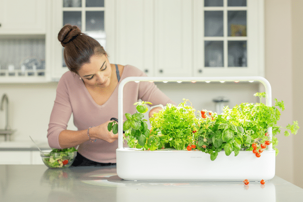 A woman tending to a smart indoor garden with various herbs and cherry tomatoes, with a bowl of salad nearby in a modern kitchen.