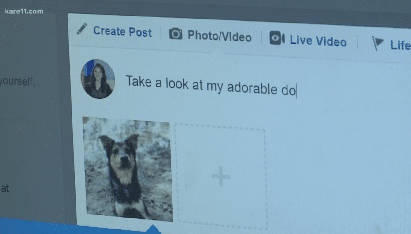 Photo booth website bug exposes thousands of user photos in data breach